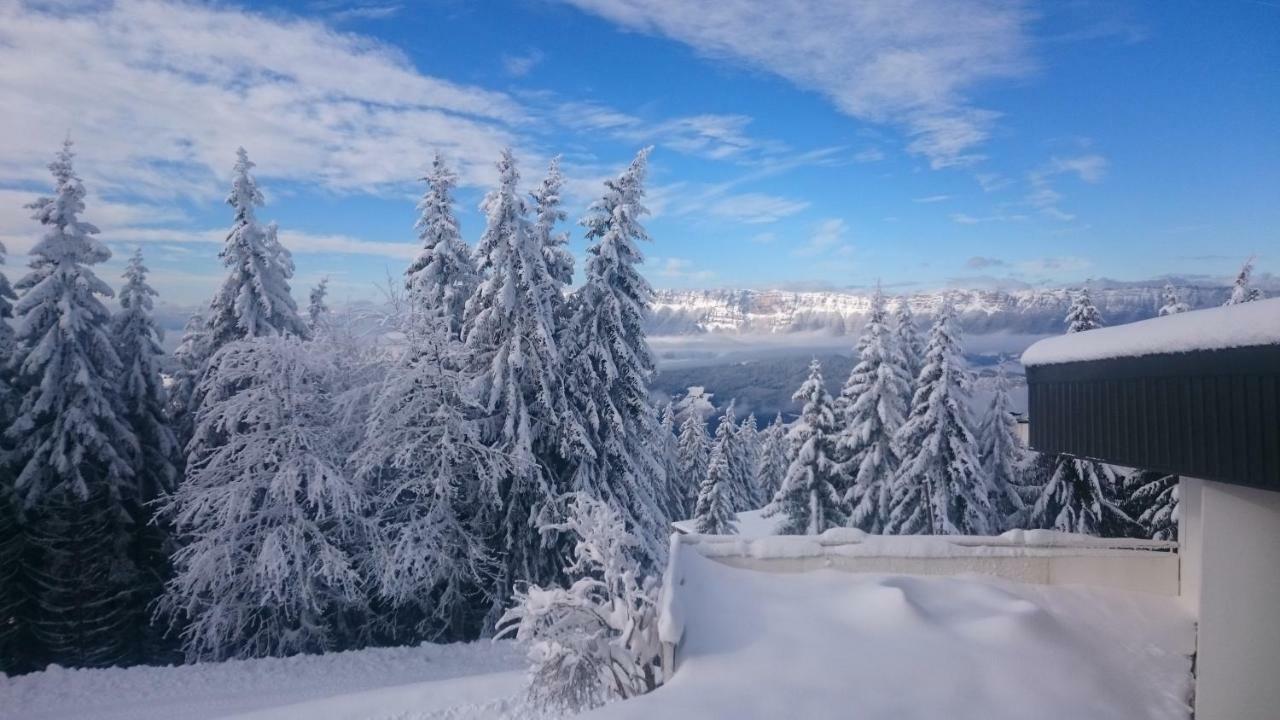 Clos Des Gentianes Allevard Dış mekan fotoğraf